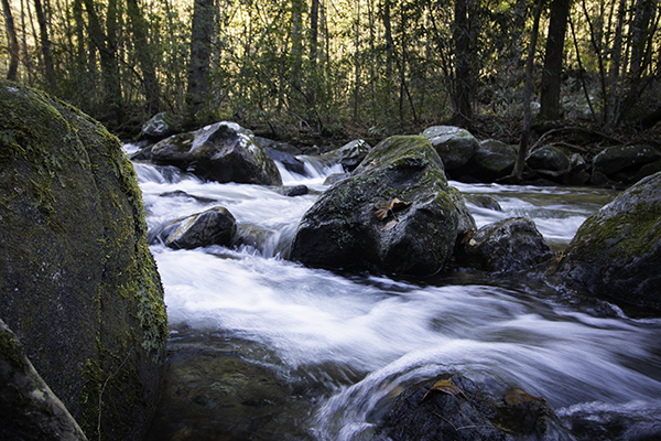 saluda river