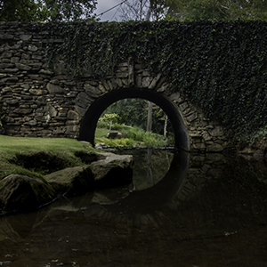 bridge
