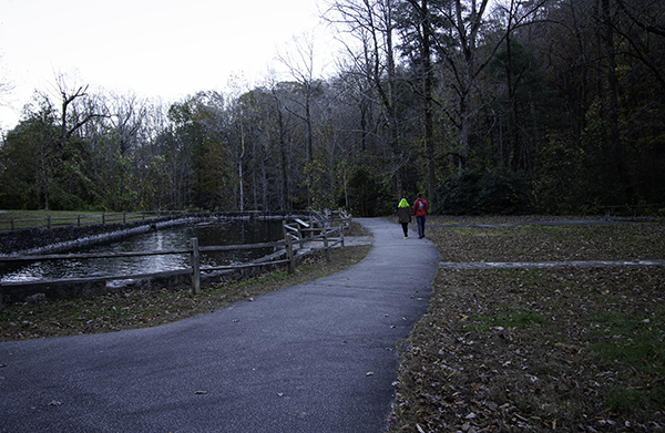 fishery jones gap