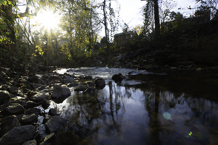 reedy river