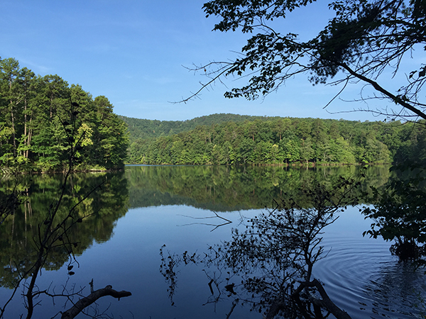 reedy river